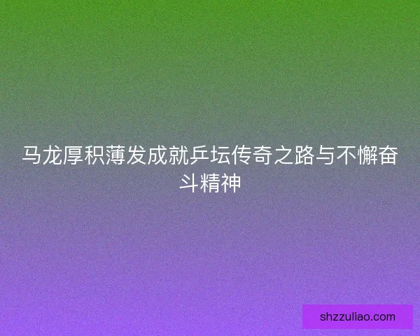 马龙厚积薄发成就乒坛传奇之路与不懈奋斗精神