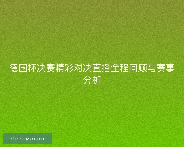 德国杯决赛精彩对决直播全程回顾与赛事分析